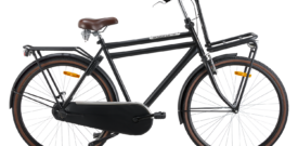 Popal Daily Dutch Basic plus 28 inch herenfiets transportfiets