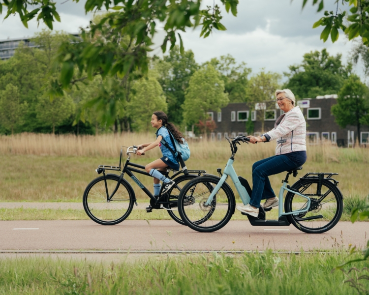 Elektrische fiets Lage instap Suelo 2026 model Extra lage instap fiets